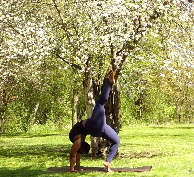 A black woman dressed in a black tank top and navy blue leggings performs eka pada chakrasana (one-legged wheel pose) on her black yoga mat. She is outside on a green field with a cherry blossom tree behind her.